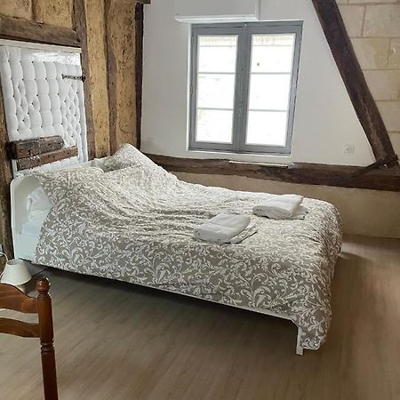 Aux Pieds De Beauval -Des Chateaux-2 蒙特里夏尔 外观 照片